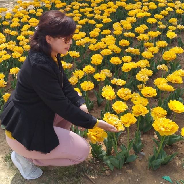 淡淡茶香5107